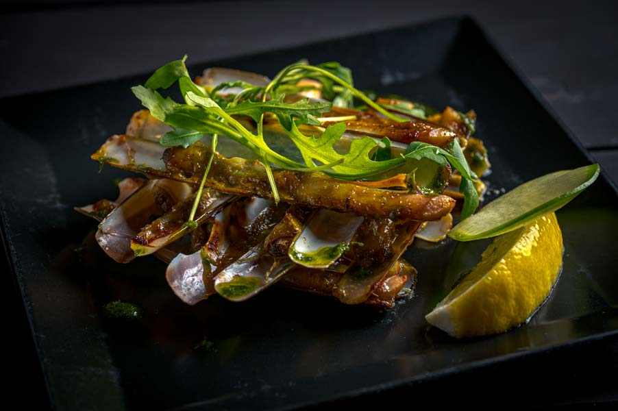 pcolinphotographe.fr-8977